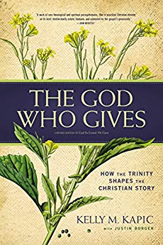 the god who gives book cover